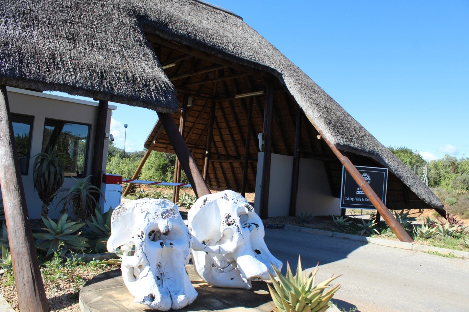 Thatched safari welcome centre